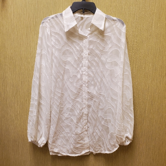 NWOT Zebra Print Semi Sheer Tunic Bishop Sleeve Size Lg - Picture 2 of 12